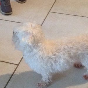 Meet your Posher, Lois